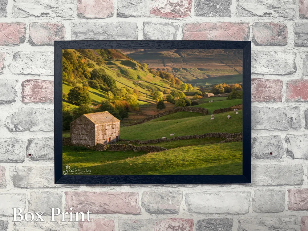 Thwaite Barns Swaledale 4 Thwaite Barns Swaledale - Landscape-Box-Print