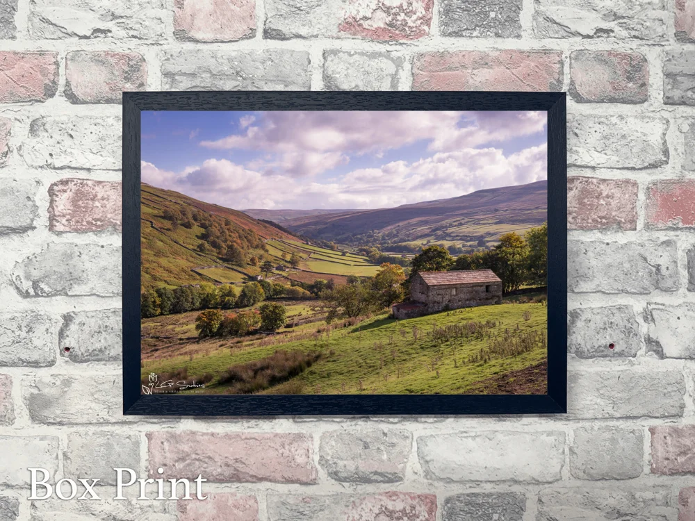 Thwaite Swaledale 4 Thwaite Swaledale - Landscape-Box-Print