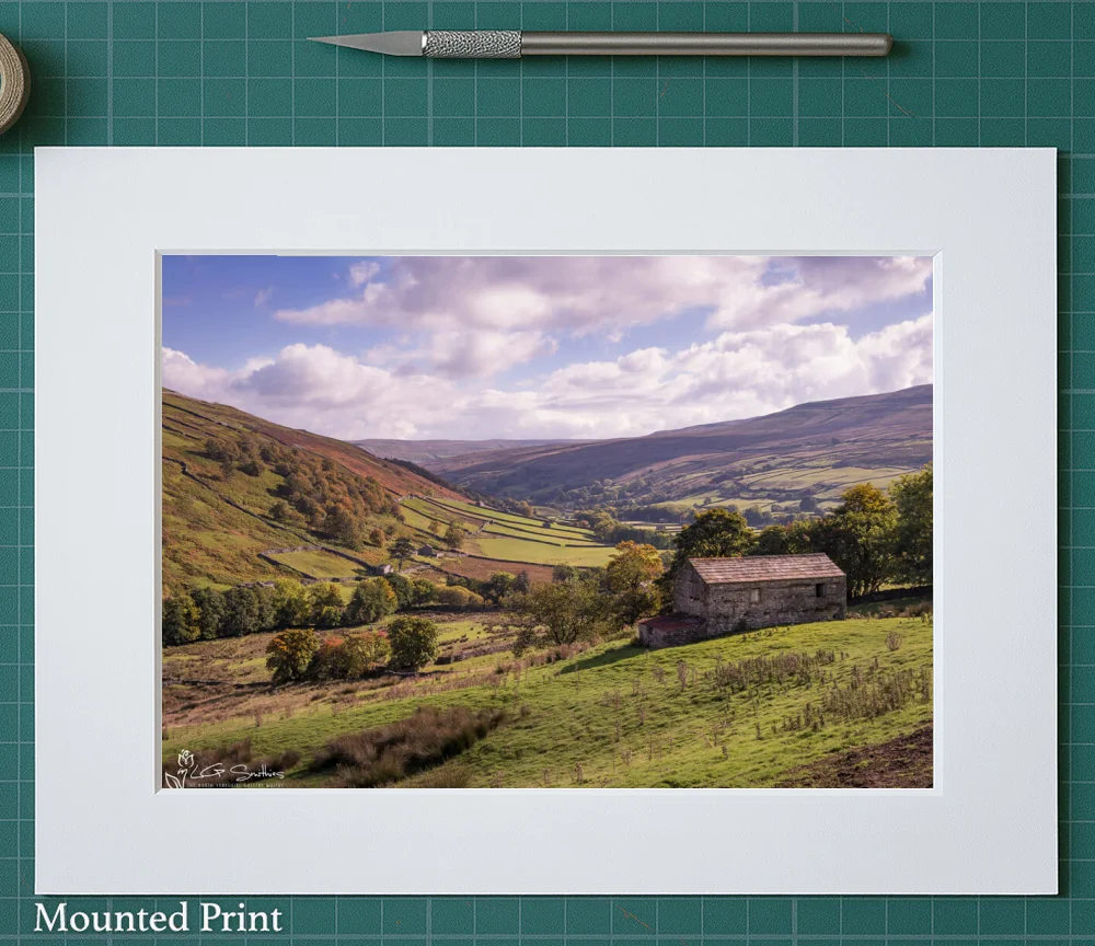 Thwaite Swaledale 2 Thwaite Swaledale - Landscape-Mounted-Print