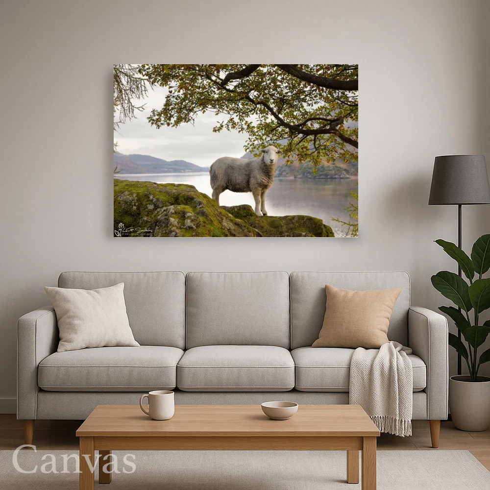 Ullswater Sheep On An Autumn Morning 8 Ullswater Sheep On An Autumn Morning - Wall-art-for-living-room-landscape