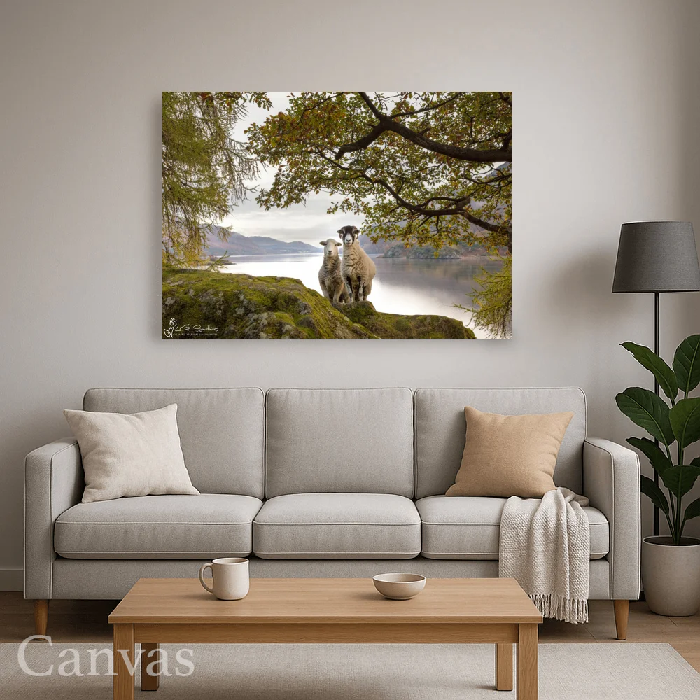 Ullswater Sheep Posing For A Photo 8 Ullswater Sheep Posing For A Photo - Wall-art-for-living-room-landscape