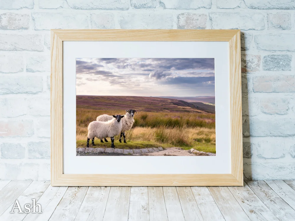 Westerdale and Roseberry Topping 7 Westerdale and Roseberry Topping - Ash-Landscape-Frame