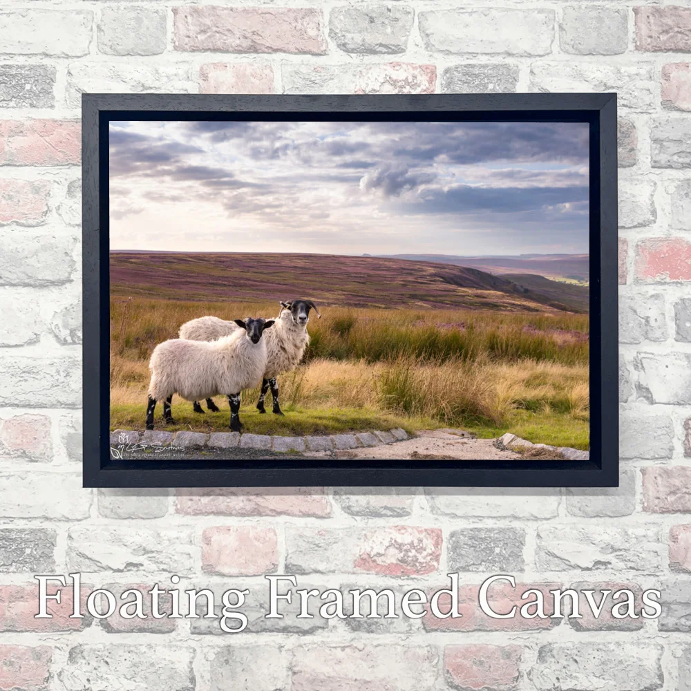 Westerdale and Roseberry Topping 3 Westerdale and Roseberry Topping - Landscape-Float-Frame-Canvas