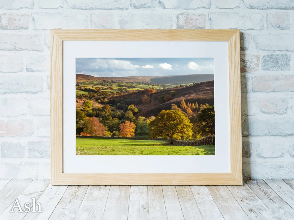 Westerdale In The Autumn Sunshine 7 Westerdale In The Autumn Sunshine - Ash-Landscape-Frame