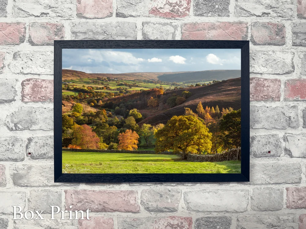 Westerdale In The Autumn Sunshine 4 Westerdale In The Autumn Sunshine - Landscape-Box-Print