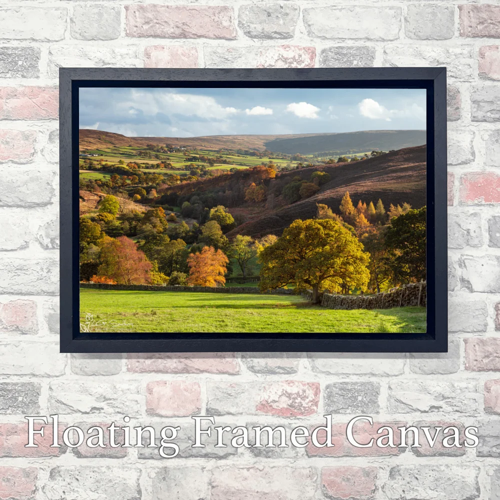 Westerdale In The Autumn Sunshine 3 Westerdale In The Autumn Sunshine - Landscape-Float-Frame-Canvas
