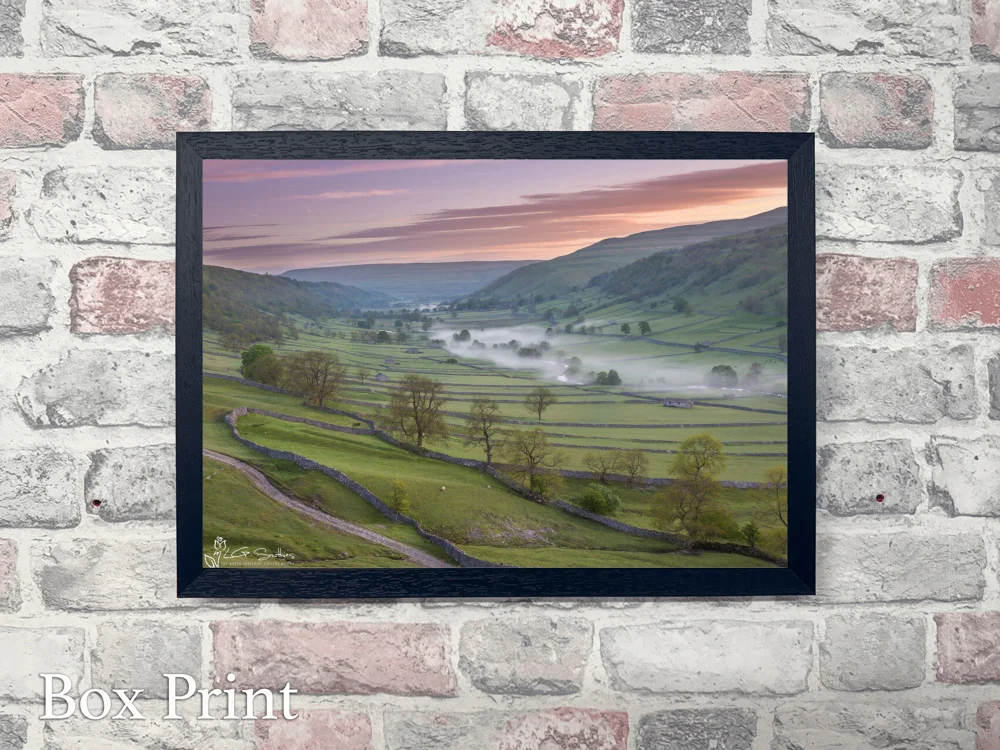 Wharfedale Valley 4 Wharfedale Valley - Landscape-Box-Print