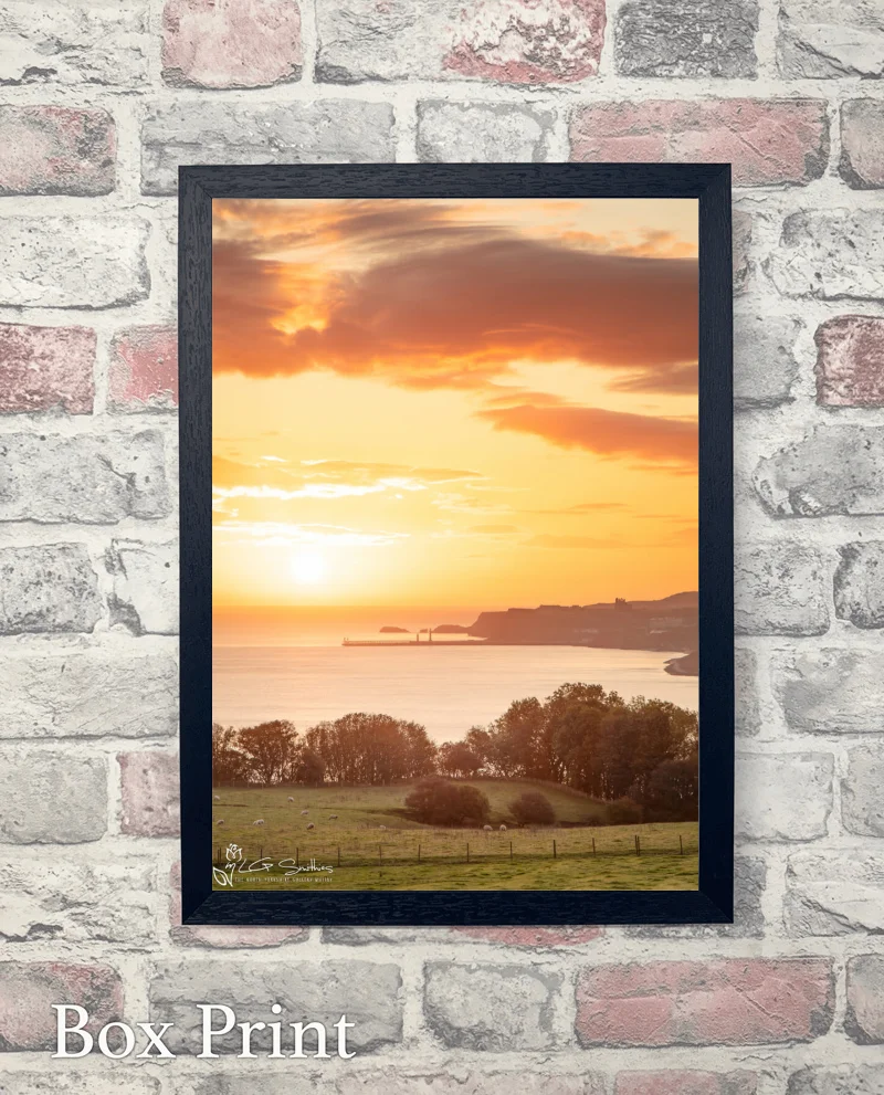 Whitby Sunrise From Lythe Portrait 6 Whitby Sunrise From Lythe Portrait - Box-Print-Portrait