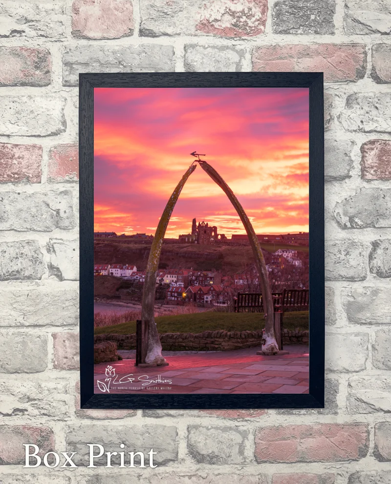 Whitby Sunrise Through the Whalebones 6 Whitby Sunrise Through the Whalebones - Box-Print-Portrait