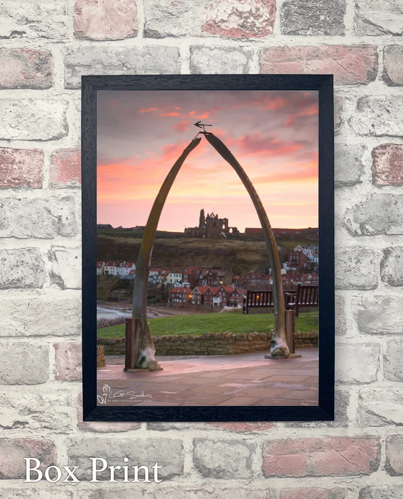Whitby Whalebones 2017 6 Whitby Whalebones 2017 - Box-Print-Portrait