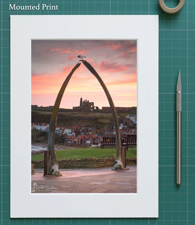 Whitby Whalebones 2017 5 Whitby Whalebones 2017 - Mounted-Print-Portrait