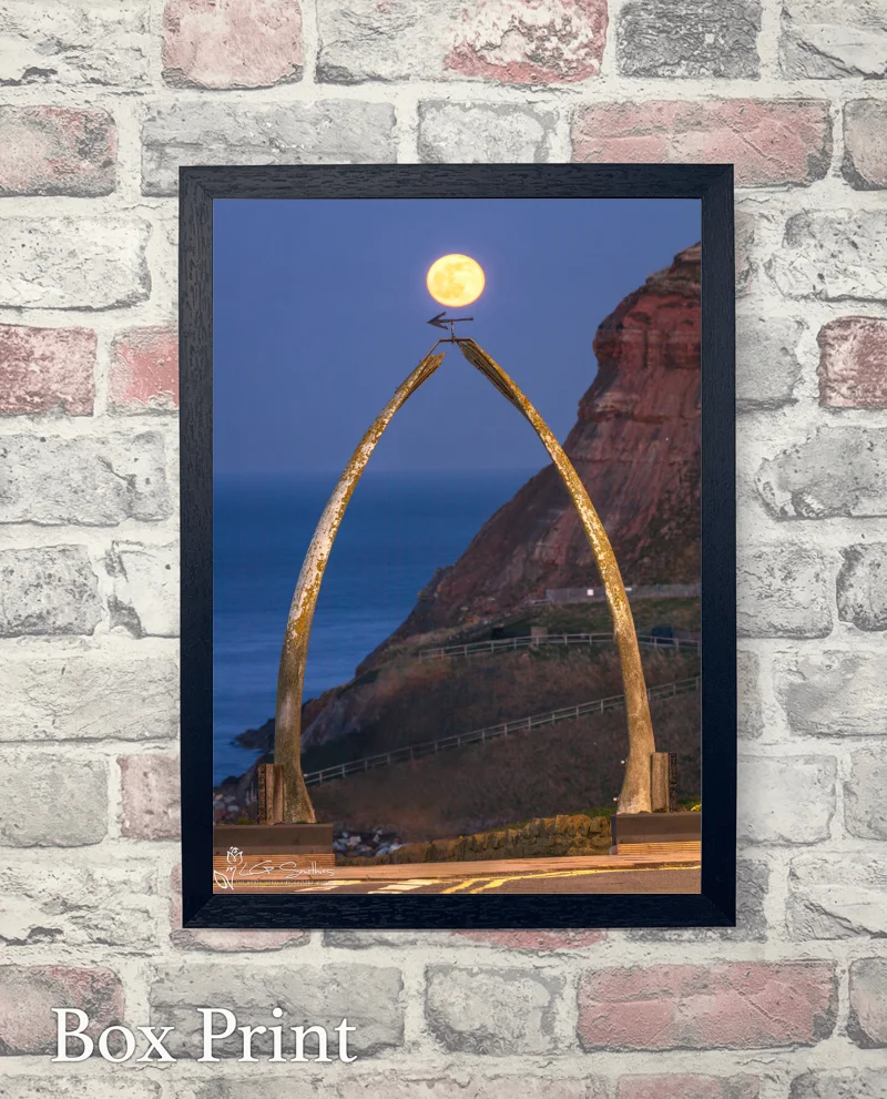Whitby Whalebones And A Moonrise 6 Whitby Whalebones And A Moonrise - Box-Print-Portrait