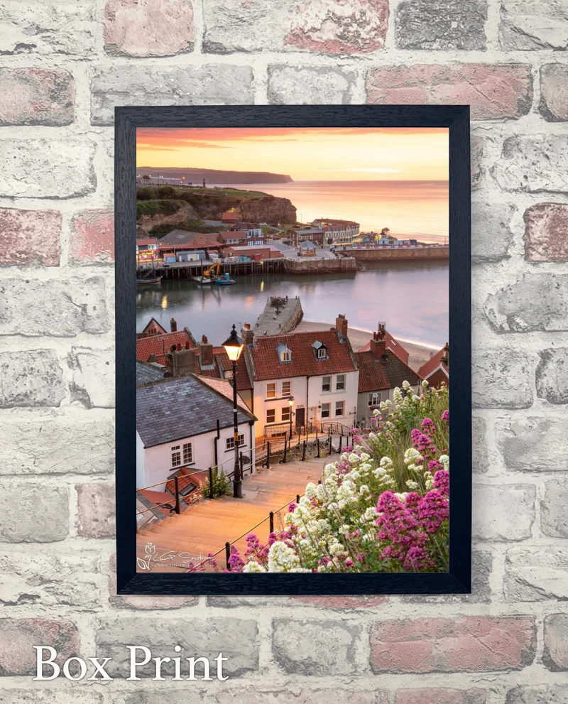 Whitby's 199 Steps 2019 7 Whitby's 199 Steps 2019 - Box-Print-Portrait
