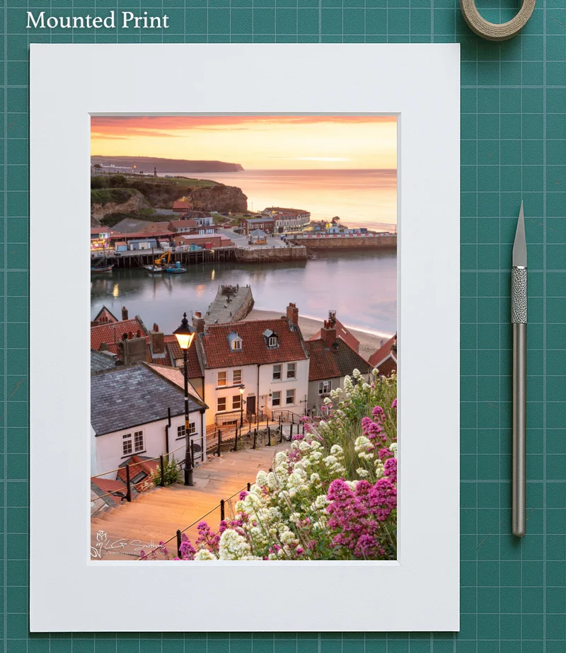 Whitby's 199 Steps 2019 6 Whitby's 199 Steps 2019 - Mounted-Print-Portrait