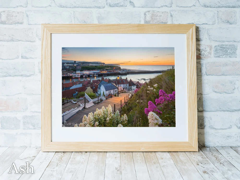 Whitby’s 199 Steps 7 Whitby’s 199 Steps - Ash-Landscape-Frame