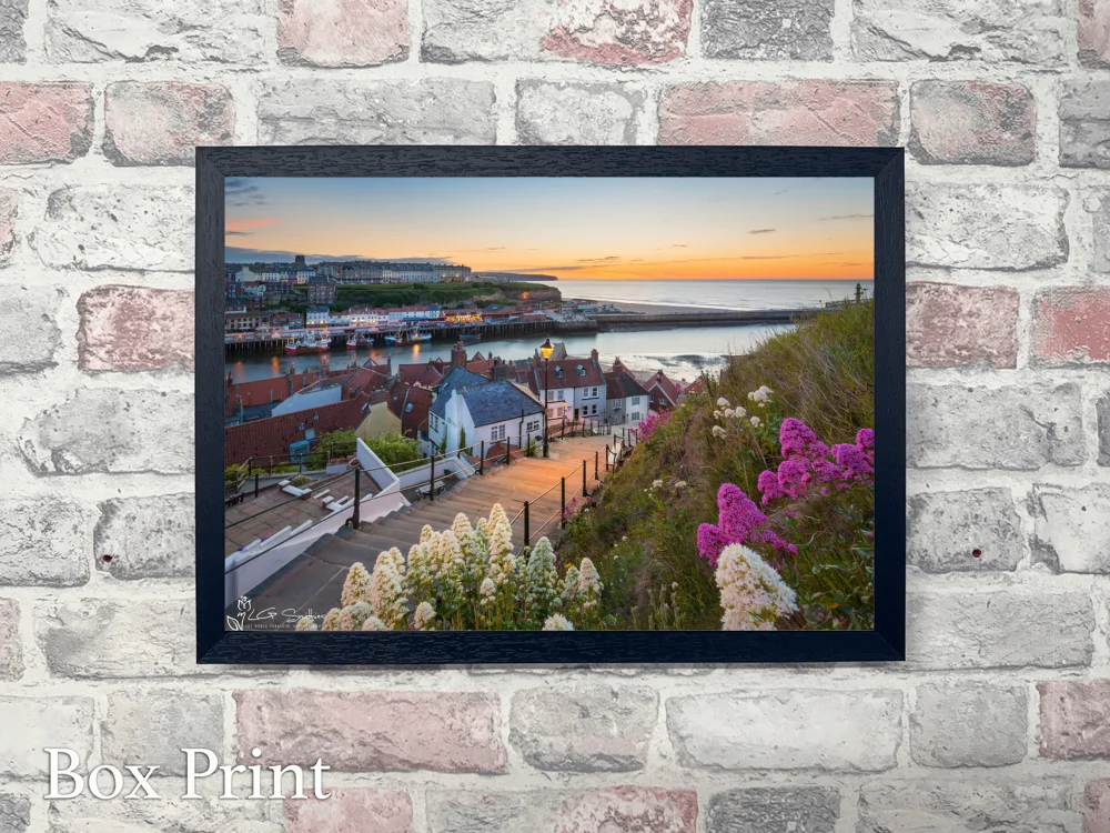 Whitby’s 199 Steps 4 Whitby’s 199 Steps - Landscape-Box-Print