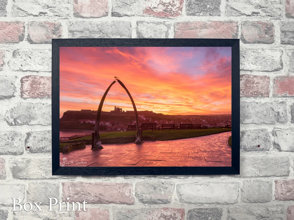 Whitby's Whalebones 4 Whitby's Whalebones - Landscape-Box-Print