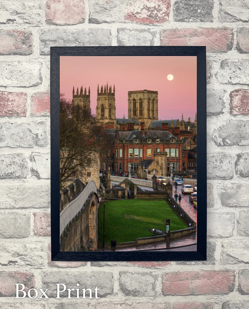 Wolf Moon Over York Minster 6 Wolf Moon Over York Minster - Box-Print-Portrait