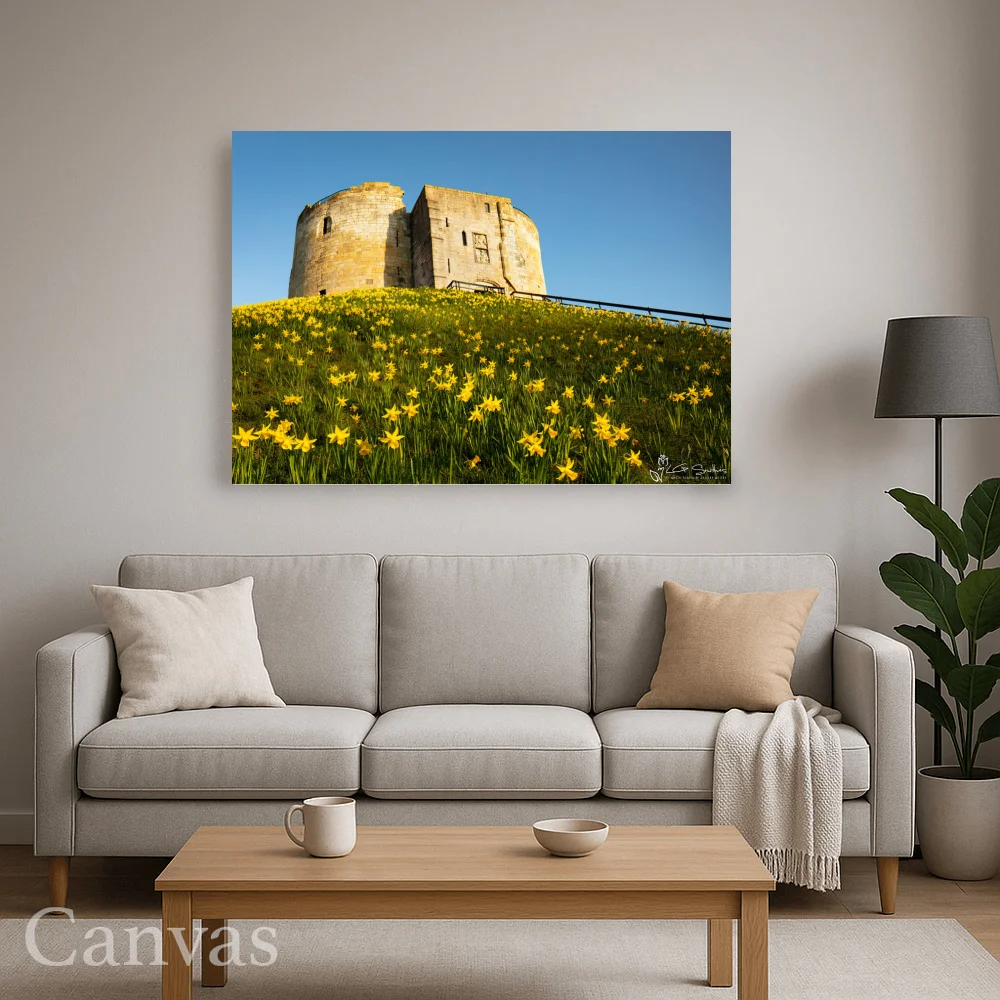 York Daffodils At Clifford's Tower 8 York Daffodils At Clifford's Tower - Wall-art-for-living-room-landscape