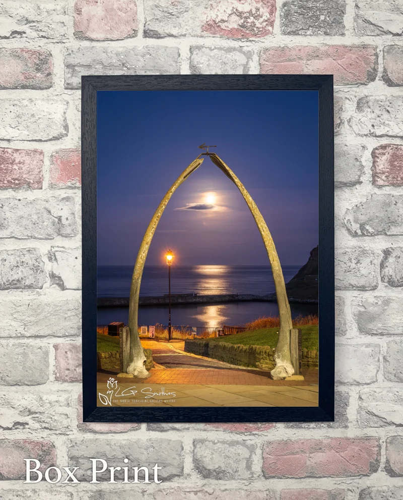 Yorkshire Coast Moonrise At Whitby Whalebones 6 Yorkshire Coast Moonrise At Whitby Whalebones - Box-Print-Portrait
