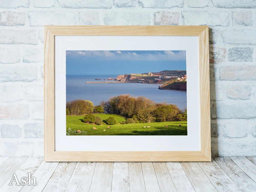 Yorkshire Coast Whitby UK 7 Yorkshire Coast Whitby UK - Ash-Landscape-Frame