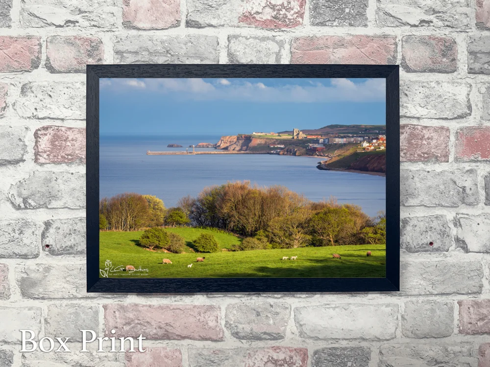 Yorkshire Coast Whitby UK 4 Yorkshire Coast Whitby UK - Landscape-Box-Print