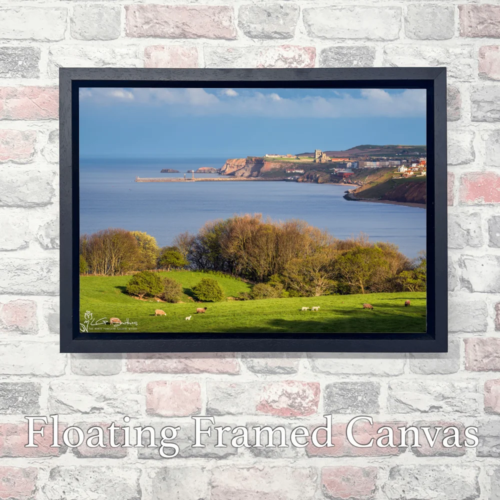 Yorkshire Coast Whitby UK 3 Yorkshire Coast Whitby UK - Landscape-Float-Frame-Canvas